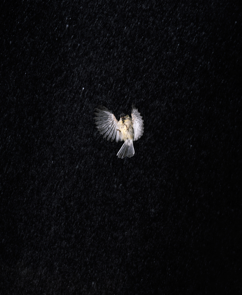 ab9